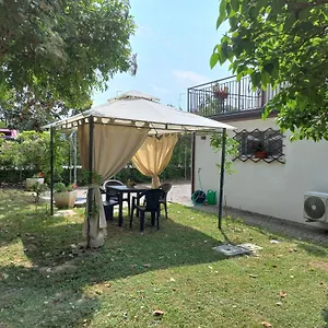 Le Magnolie 2 , Mestre Italia